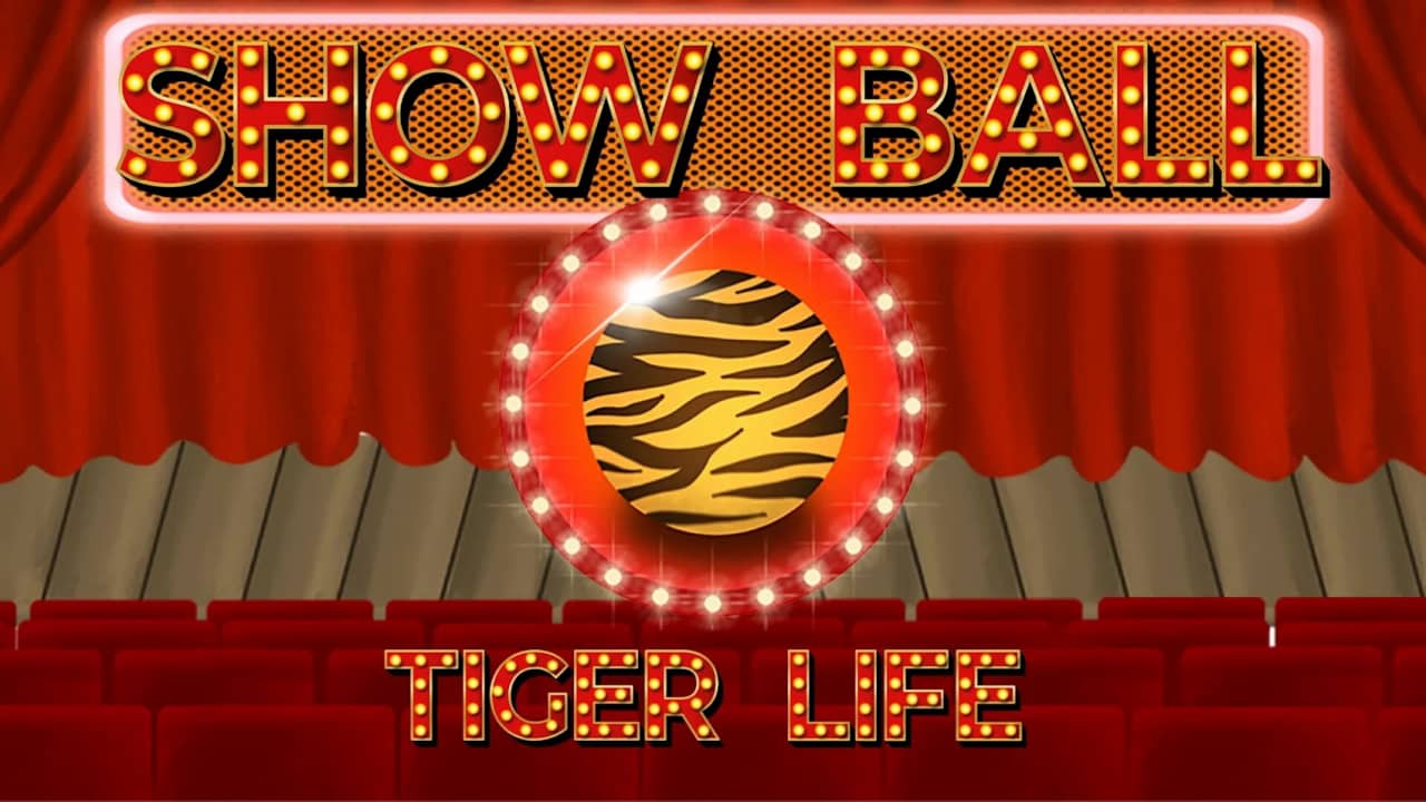 秀球：虎命 Show Ball: Tiger Life