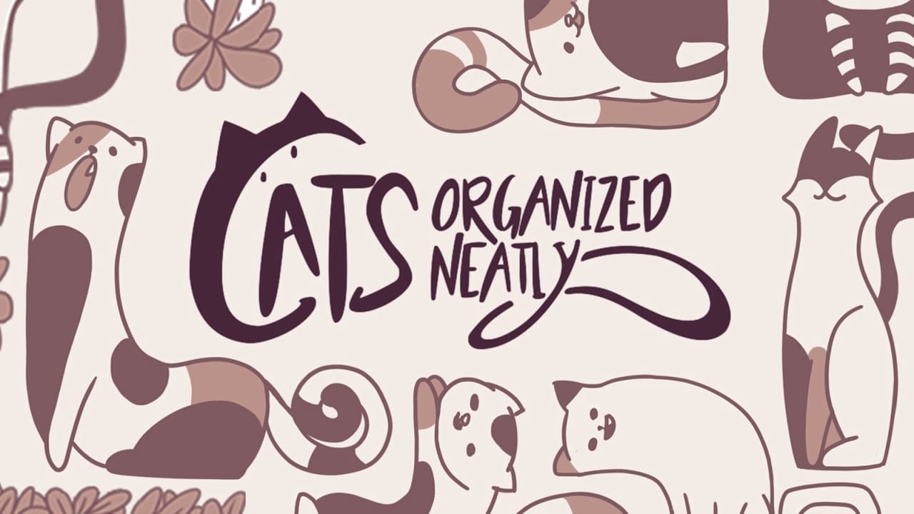 井然有猫/整猫宫/猫咪整齐划一 Cats Organized Neatly